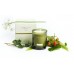 C. TORTU FORETS Candle 190g