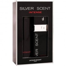 SILVER SCENT INTENSE 2PC 100ml edt/DEO200