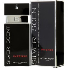 SILVER SCENT INTENSE 100ML EDT (M)